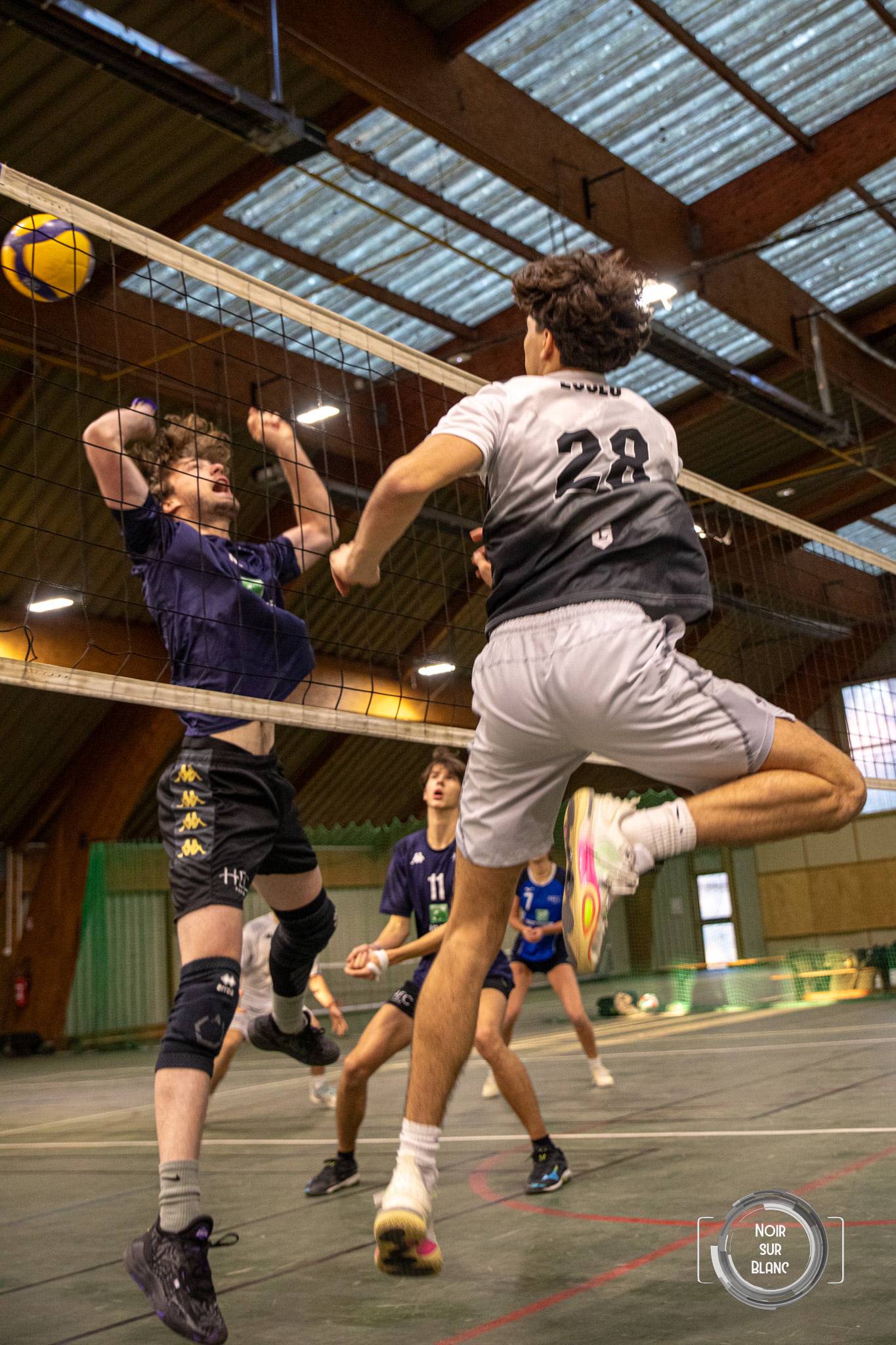 Sous la charpente en bois du gymnase, un joueur en gris s'élève au-dessus du filet pour smasher, face à un contre en violet.