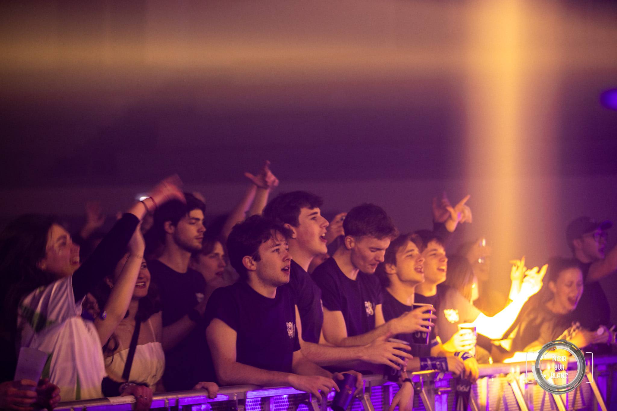 Les premiers rangs collés à la barrière, bras levés et bouches ouvertes, dans une lumière violette et orange.
